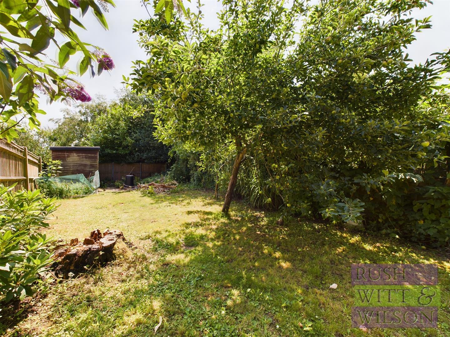 Alfred Road, Hastings Rush, Witt & Wilson